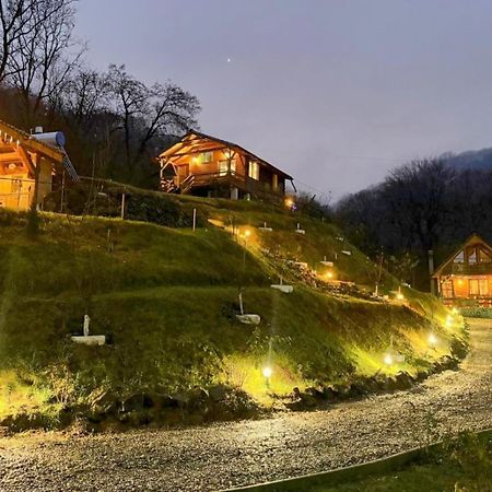 Chalets Du Bf Сигишоара Экстерьер фото