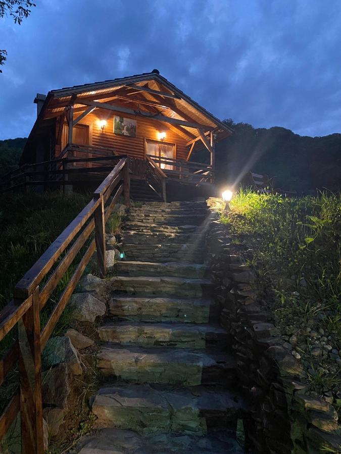 Chalets Du Bf Сигишоара Экстерьер фото